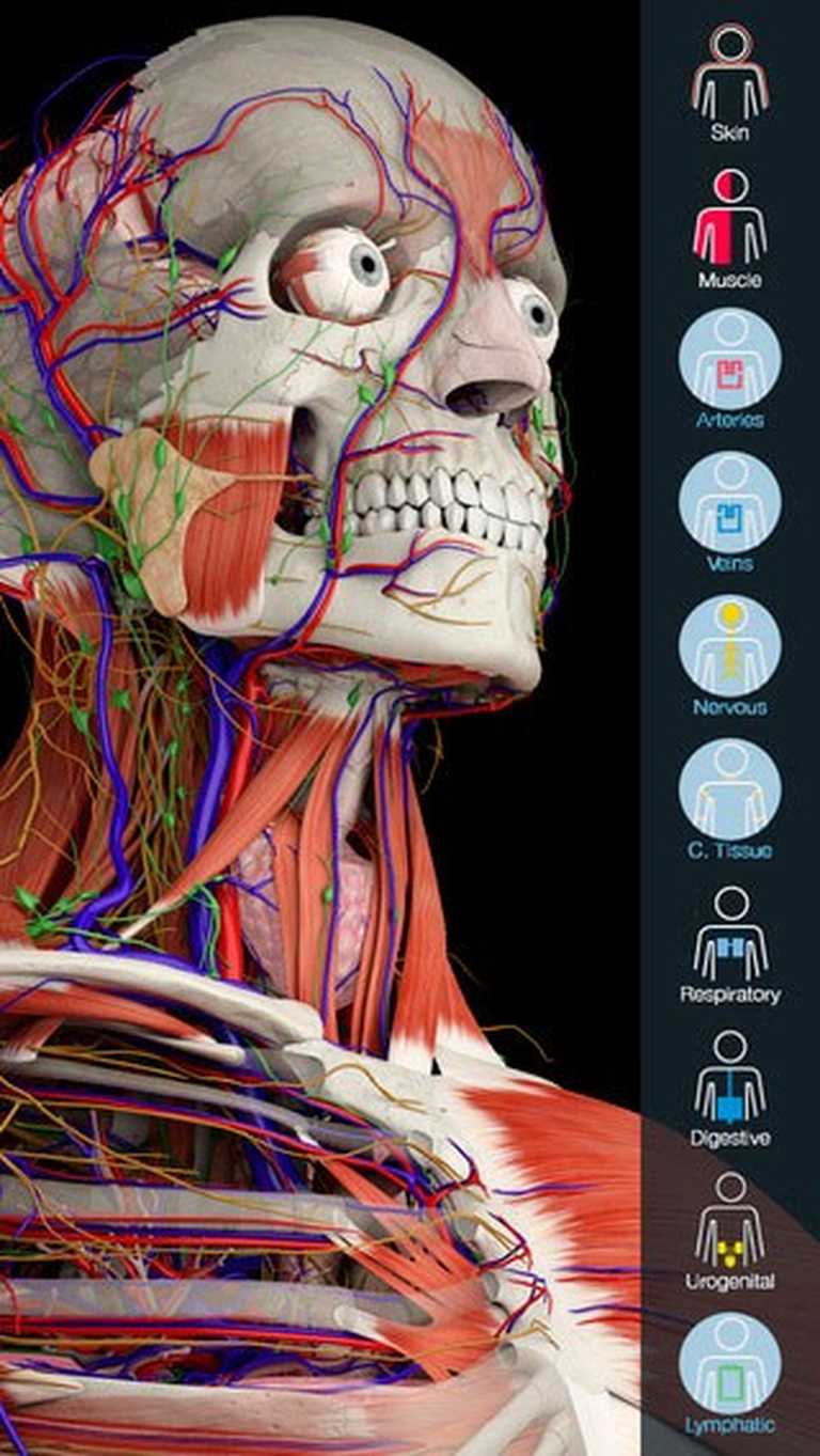 Essential Anatomy 5